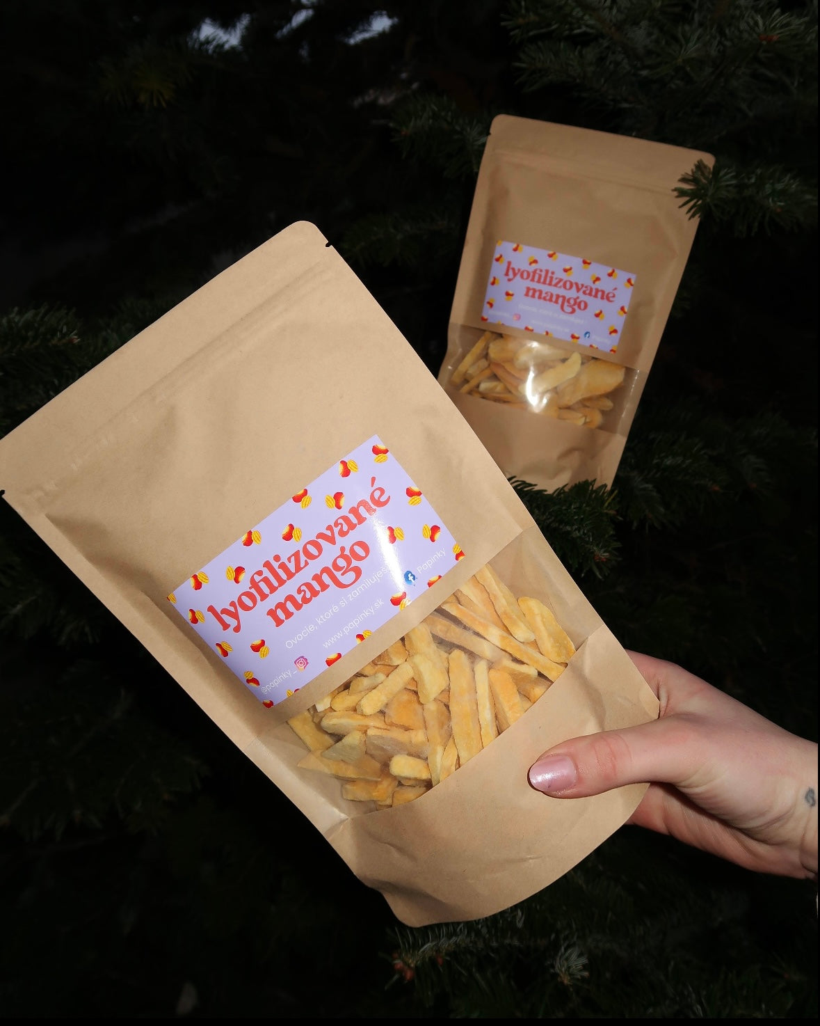 FREEZE-DRIED MANGO PIECES